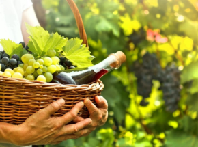 Copertina articolo per il ristorante ORA di Firenze con vino biologico
