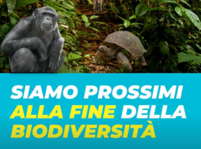 Copertina del reel Instagram sulla biodiversità